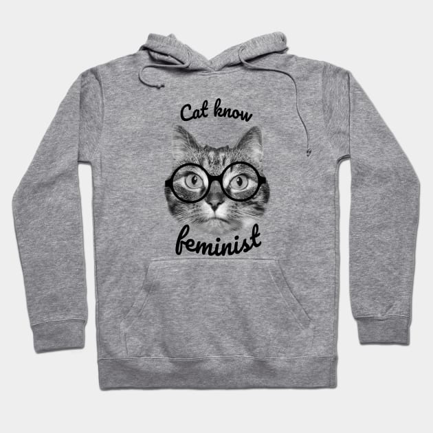 Cat know feminist perfect cat design Hoodie by Purrfect